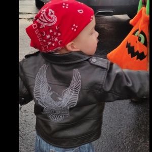 Harley Davidson Upwing Eagle Biker Jacket